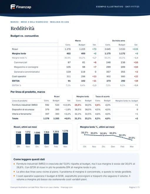 Pagina del report di esempio 2: Redditività
